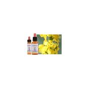 Healing Herbs Bach Agriomy | Buy Online in Ireland| Buy Online in Ireland