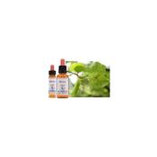 Healing Herb Bach Beech | Buy Online in Ireland| Buy Online in Ireland