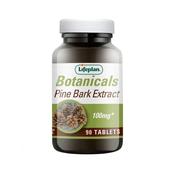 Lifeplan Pine Bark Extract 100MG | Buy Online in Ireland| Buy Online in Ireland