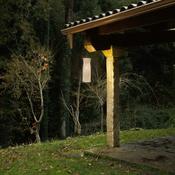Gea Outdoor Suspension