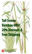 Offer 4: Tall screen bamboo offer