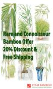 Offer 7: Rare and Connoisseur bamboo offer