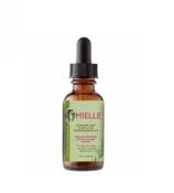 Mielle Rosemary Mint Scalp And Hair Strengthening Oil image