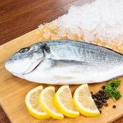 Whole sea bream