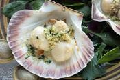 *Scallops