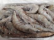 *Shrimp Frozen (Large) 2kg