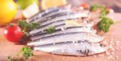 *Frozen Sardines