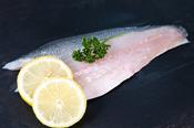 Sea bass
