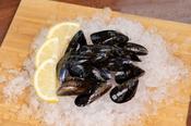 Mussels image
