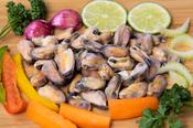 *Mussel Meat image
