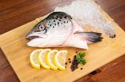 Salmon Heads image