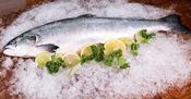 Whole salmon 2-3kg image