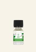 The Body Shop Basil &amp;amp; Thyme Home Fragrance Oil image