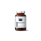 BioCare Bio Acidophilus 60 Caps image