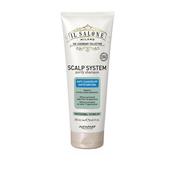 Alfaparf Il Salone Scalp System Anti Dandruff Shampoo 250ml image