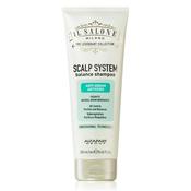 Alfaparf Il Salone Scalp System Anti Sebum Shampoo 250ml image