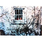 Cottage Window