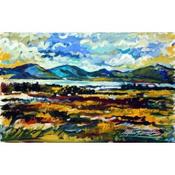 Capturing the Light, Ardara