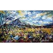 Wild Flowers at errigal image