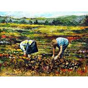 Turning the Turf image