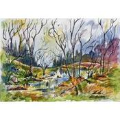 Trees by the Stream image