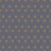 Hick's Hexagon