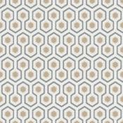 Hick's Hexagon
