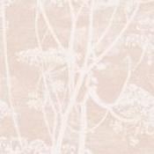 Cow Parsley