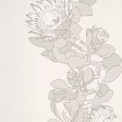 Protea Trail image