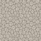 savanna shell