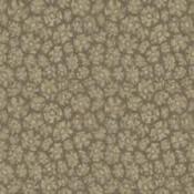 savanna shell