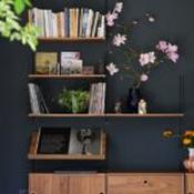hopper head no.305 by farrow &amp; ball