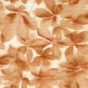 grounded wallpaper by harlequin