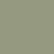 nettle soup by colourtrend