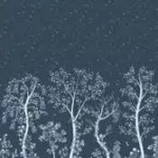 seasonal woods image