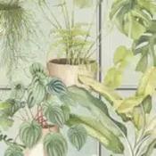 the green house image