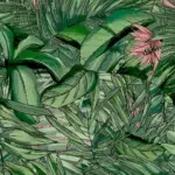 tropical forest