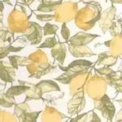 lemon tree by casadeco image