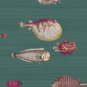 acquario by cole &amp; son