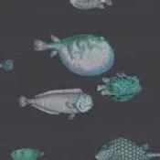 acquario by cole &amp; son