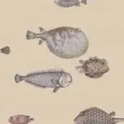 acquario by cole &amp; son