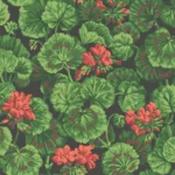 geranium by cole &amp; son