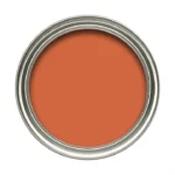 retro rust by dulux * image