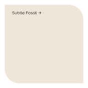 subtle fossil by dulux signature