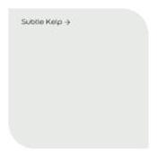 subtle kelp by dulux signature