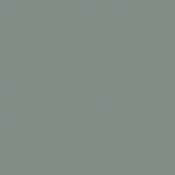 nephrite n494 by tikkurila