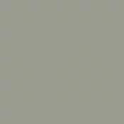 arctic willow m495 by tikkurila