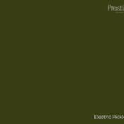 electric pickle by prestige
