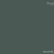 necchi by prestige