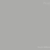 south william by prestige